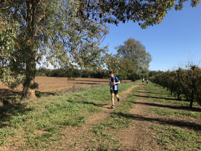 Running IV - Castillo de Cartellà